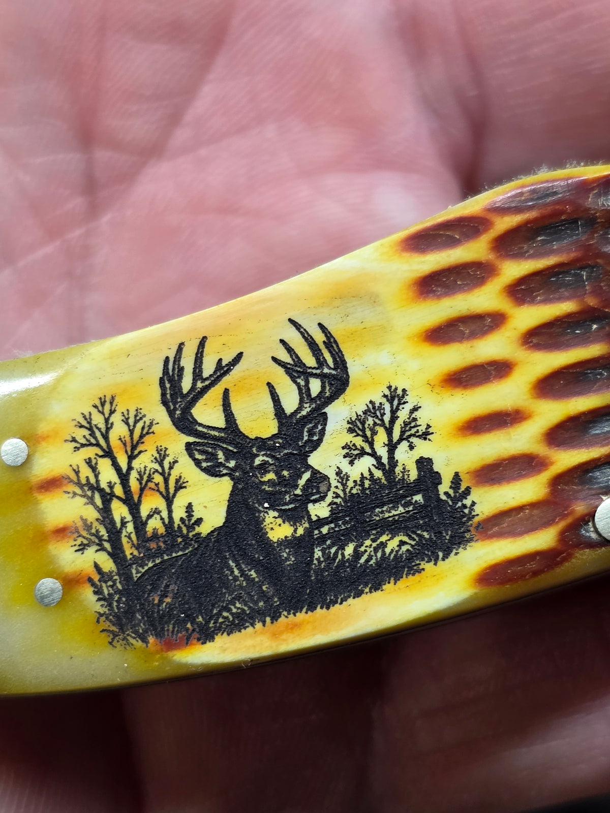 Rough Ryder Brown Jigged Folding Hunter with Deer RR854Deer