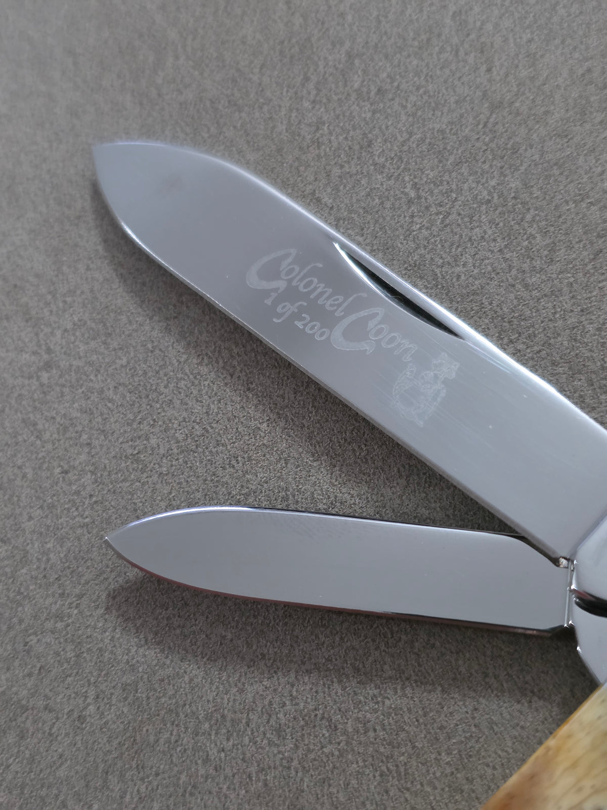 Colonel Coon Stag Handle Torpedo Jack Style 2 Blade Pocket knife 1 of 200