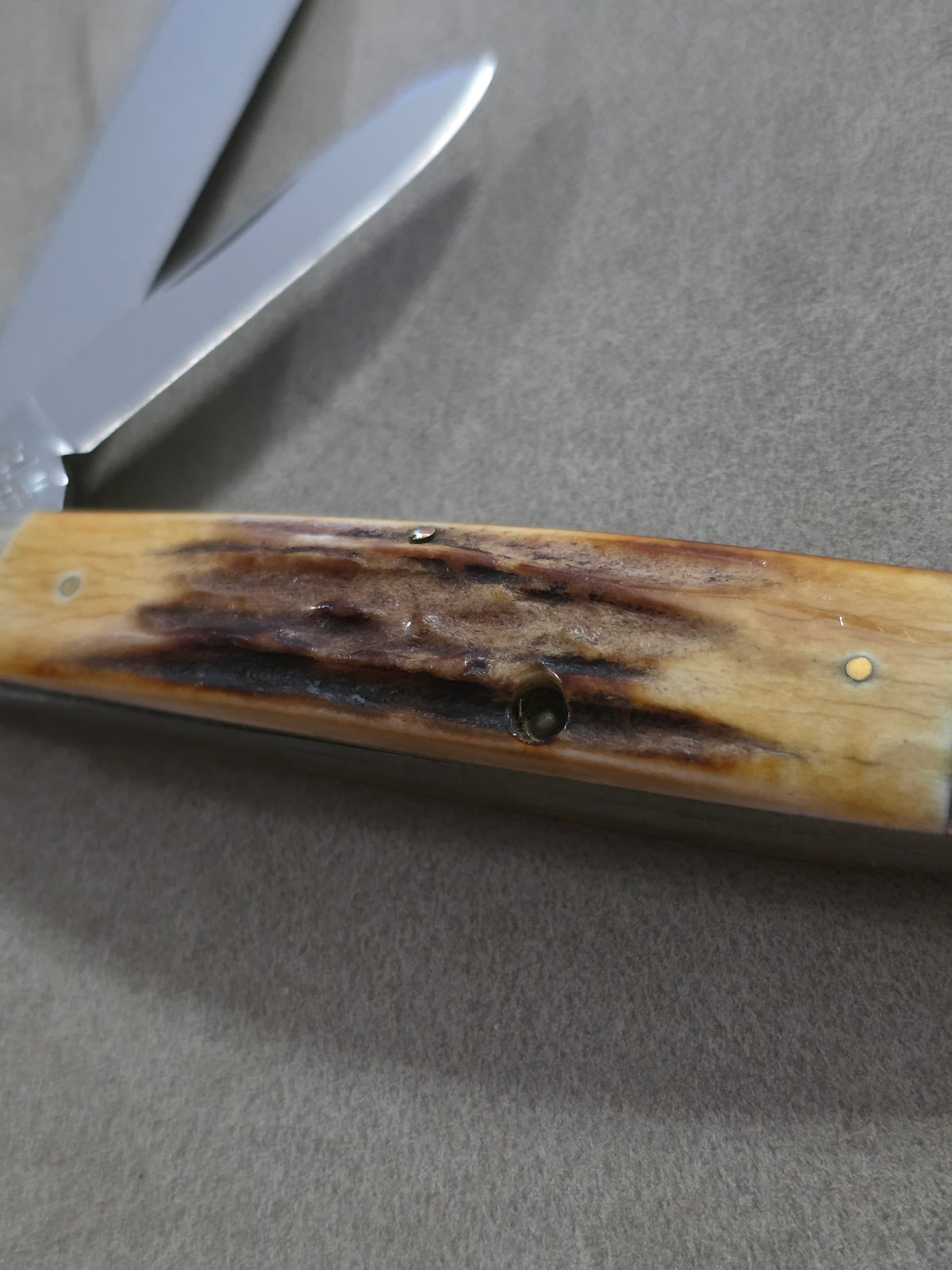 Colonel Coon Stag Handle Torpedo Jack Style 2 Blade Pocket knife 1 of 200