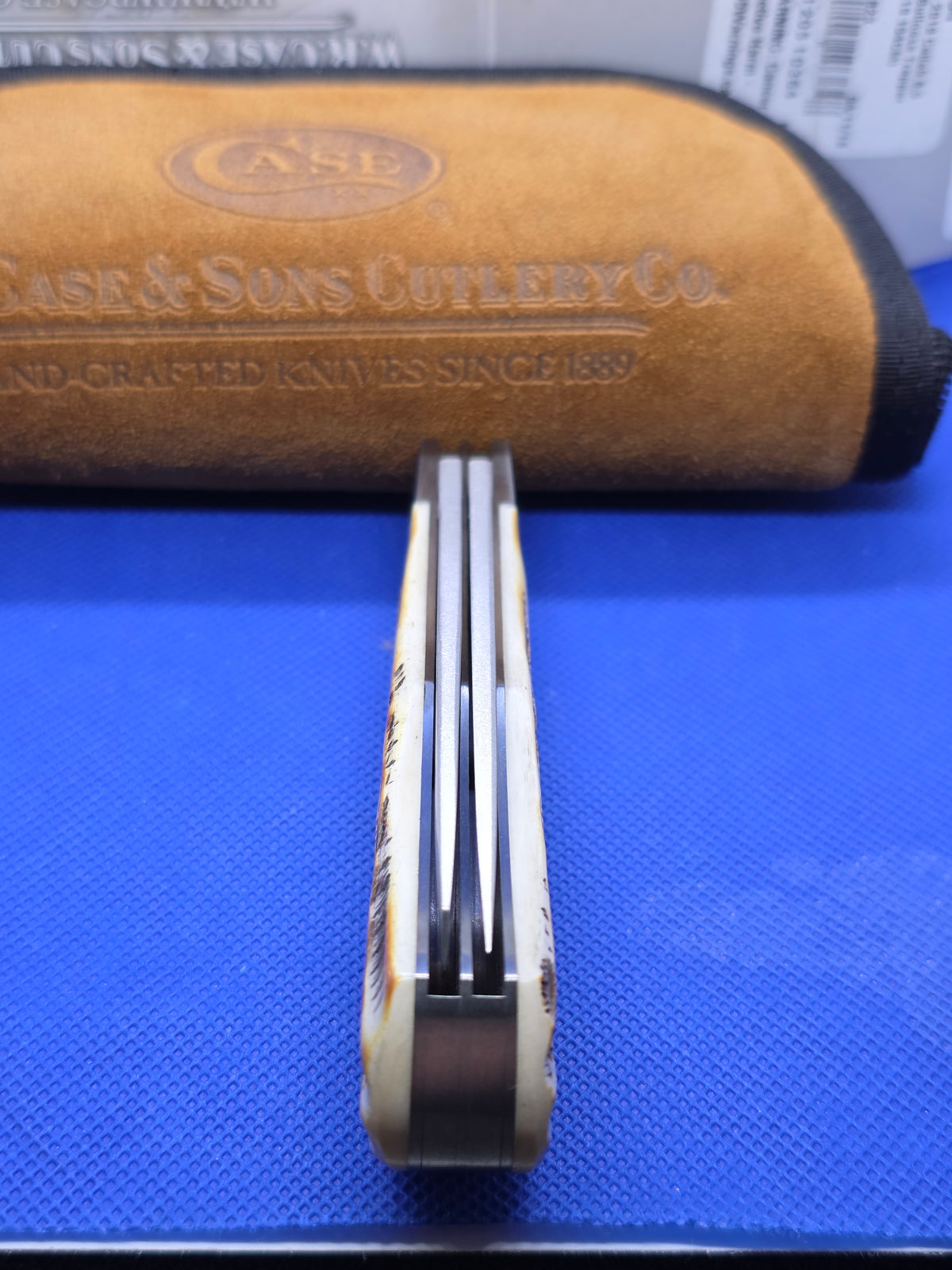 2019 Case XX Tony Bose Standard Bullnose Trapper Bone Stag 10364