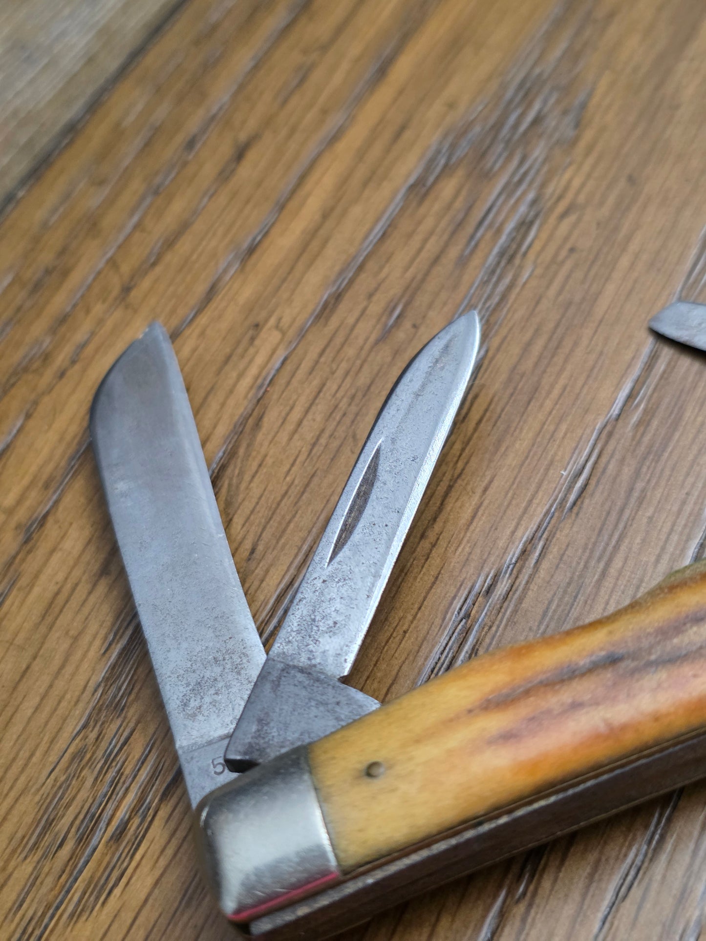 1965-69 Case XX Stag Handle Congress 5488