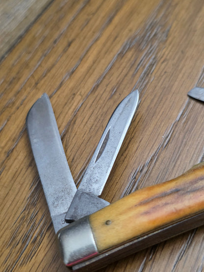 1965-69 Case XX Stag Handle Congress 5488