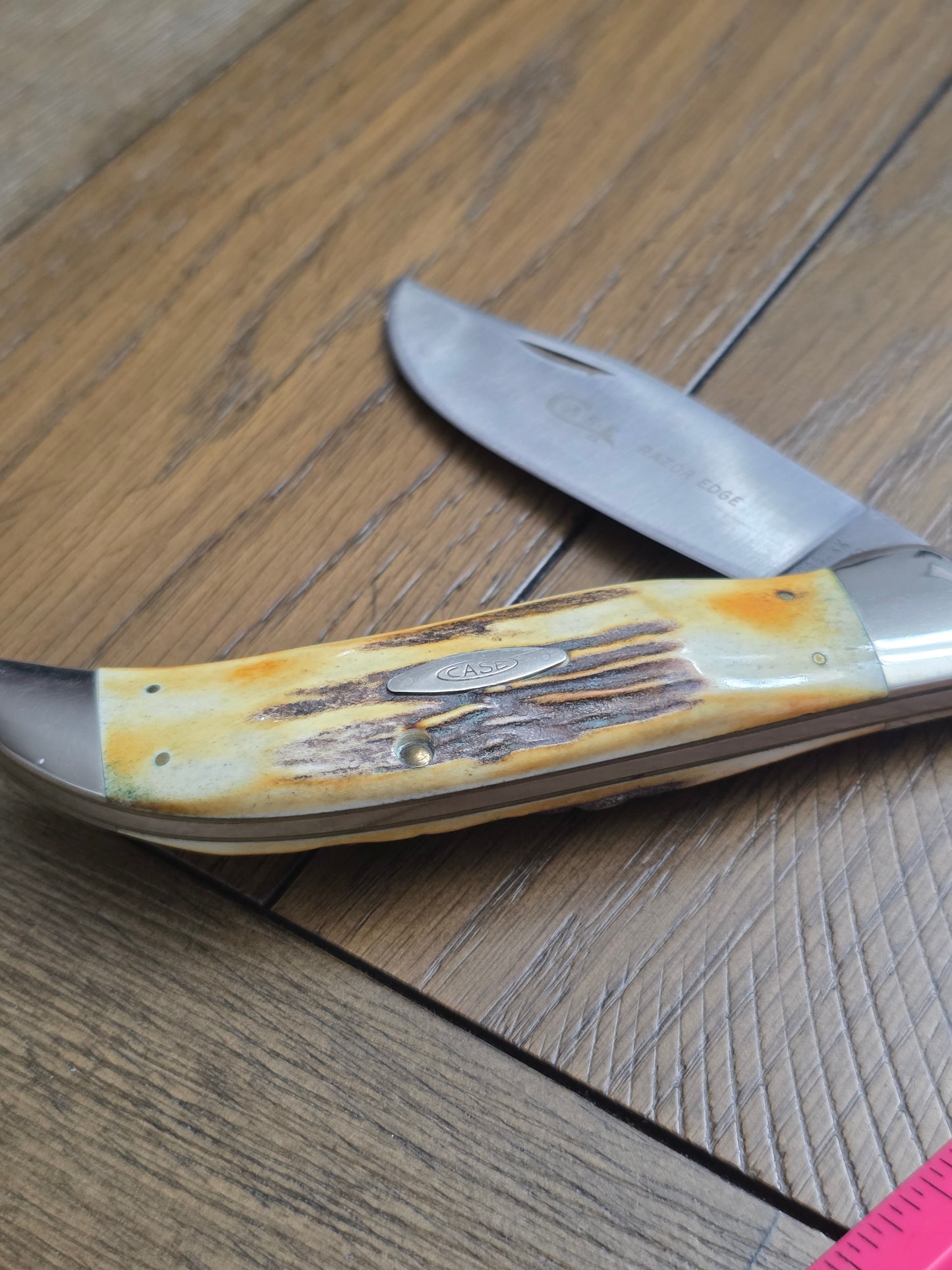 1976 Case XX 5172SSP Razor Edge Gray Etch Clasp Knife with Stag Handles
