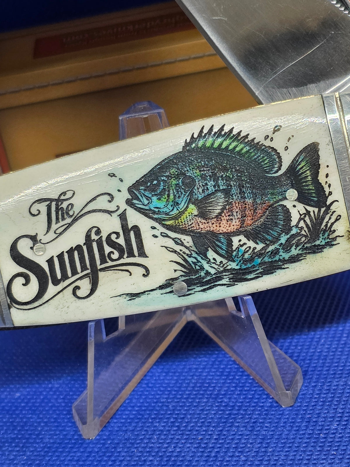 Rough Ryder Natural Bone Custom Etched The Sunfish RR139SF Online Only!