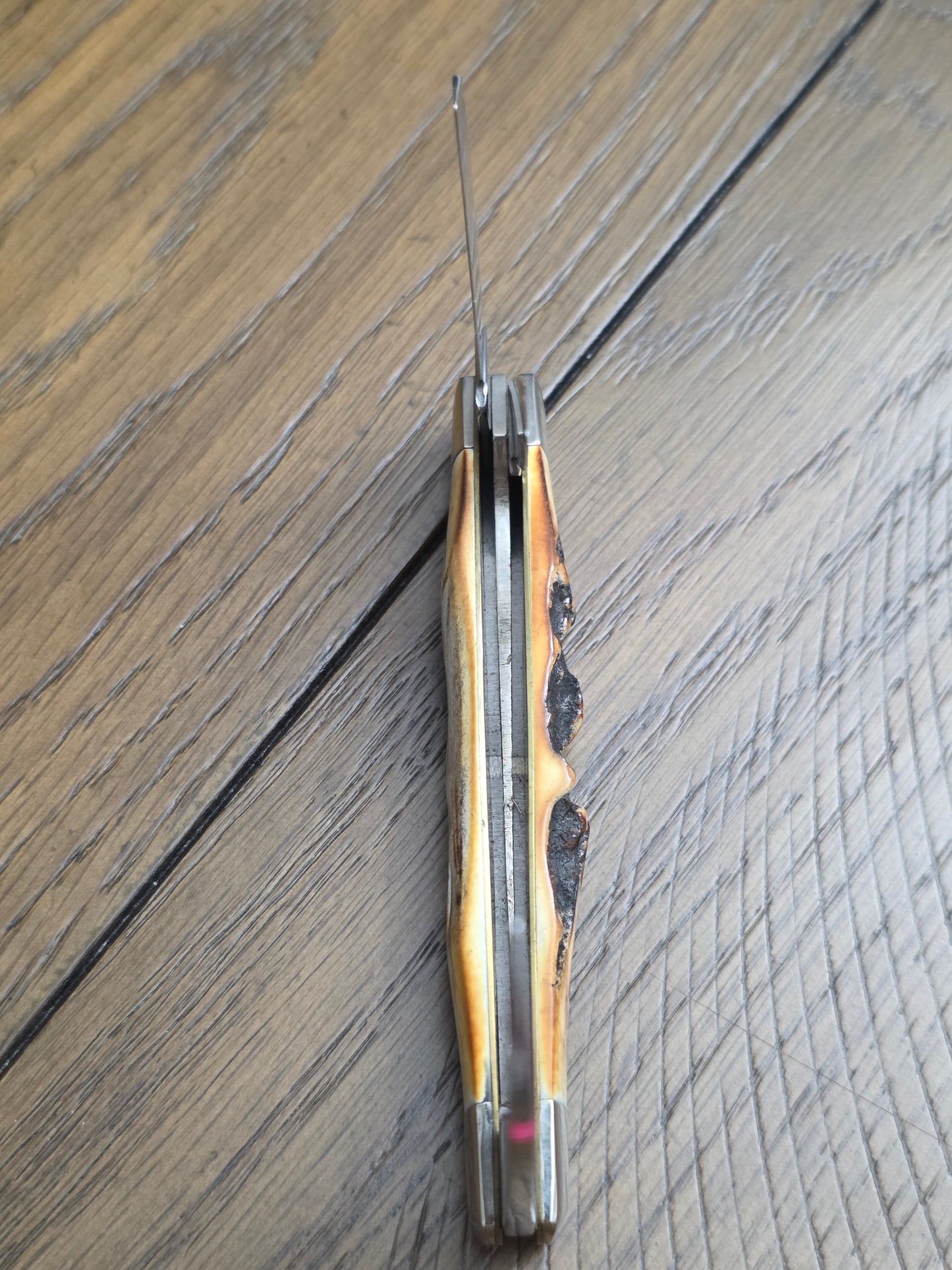 1986 Case XX Stag Handle 53088 Congress Circle C Series