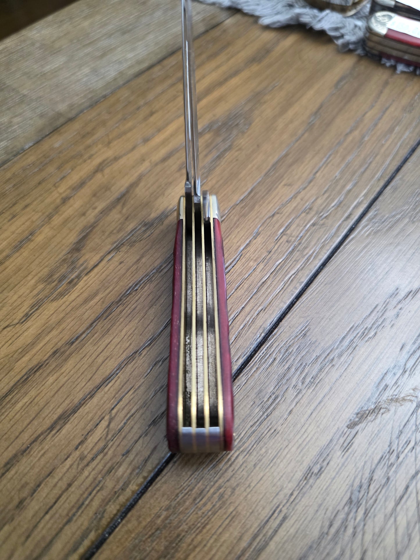 Rough Rider 3 Blade Mini Trapper Red Jig Bone PROPELLER Shield RR430