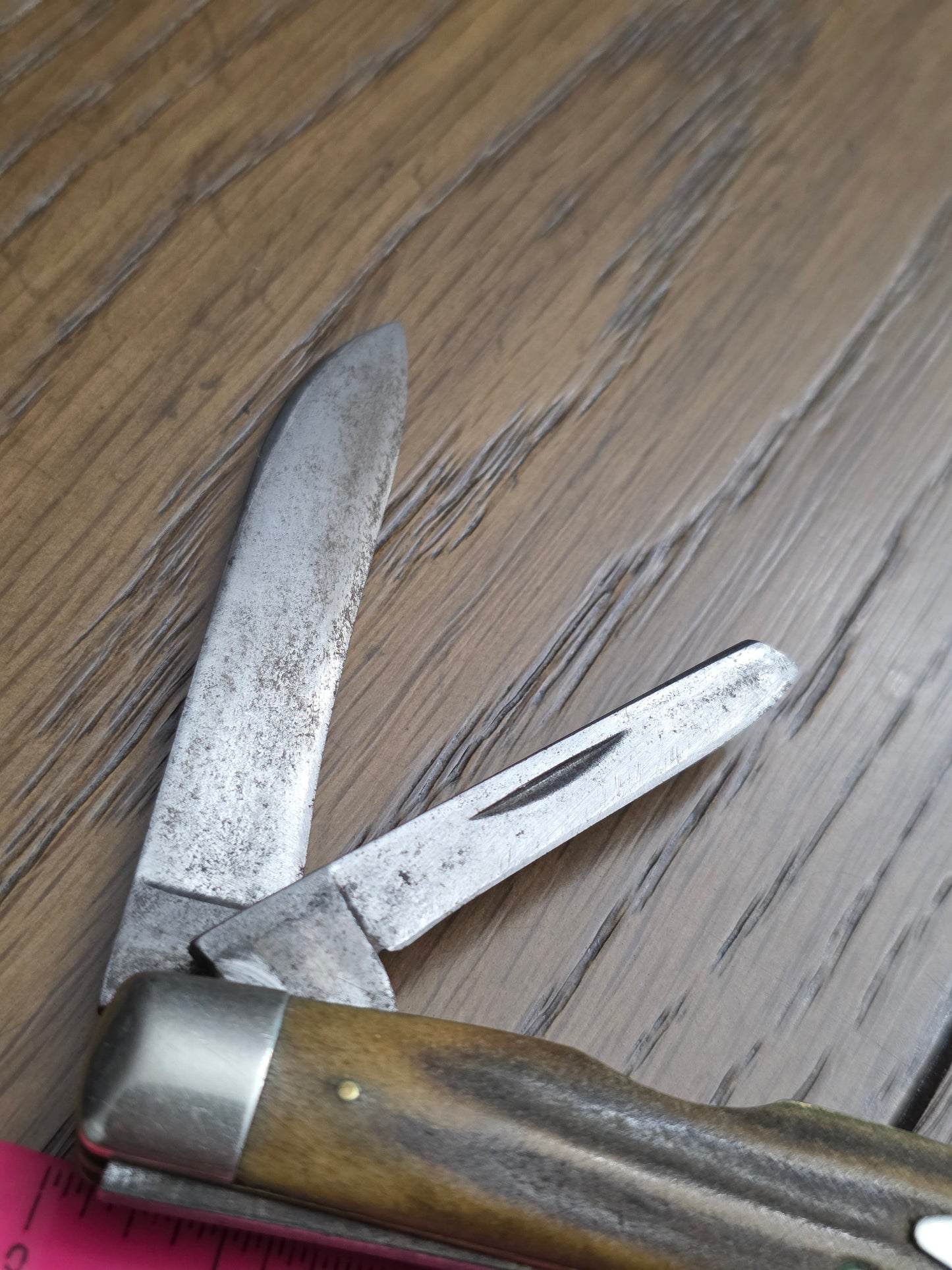 1965-69 Case XX Stag Handle Congress 5488