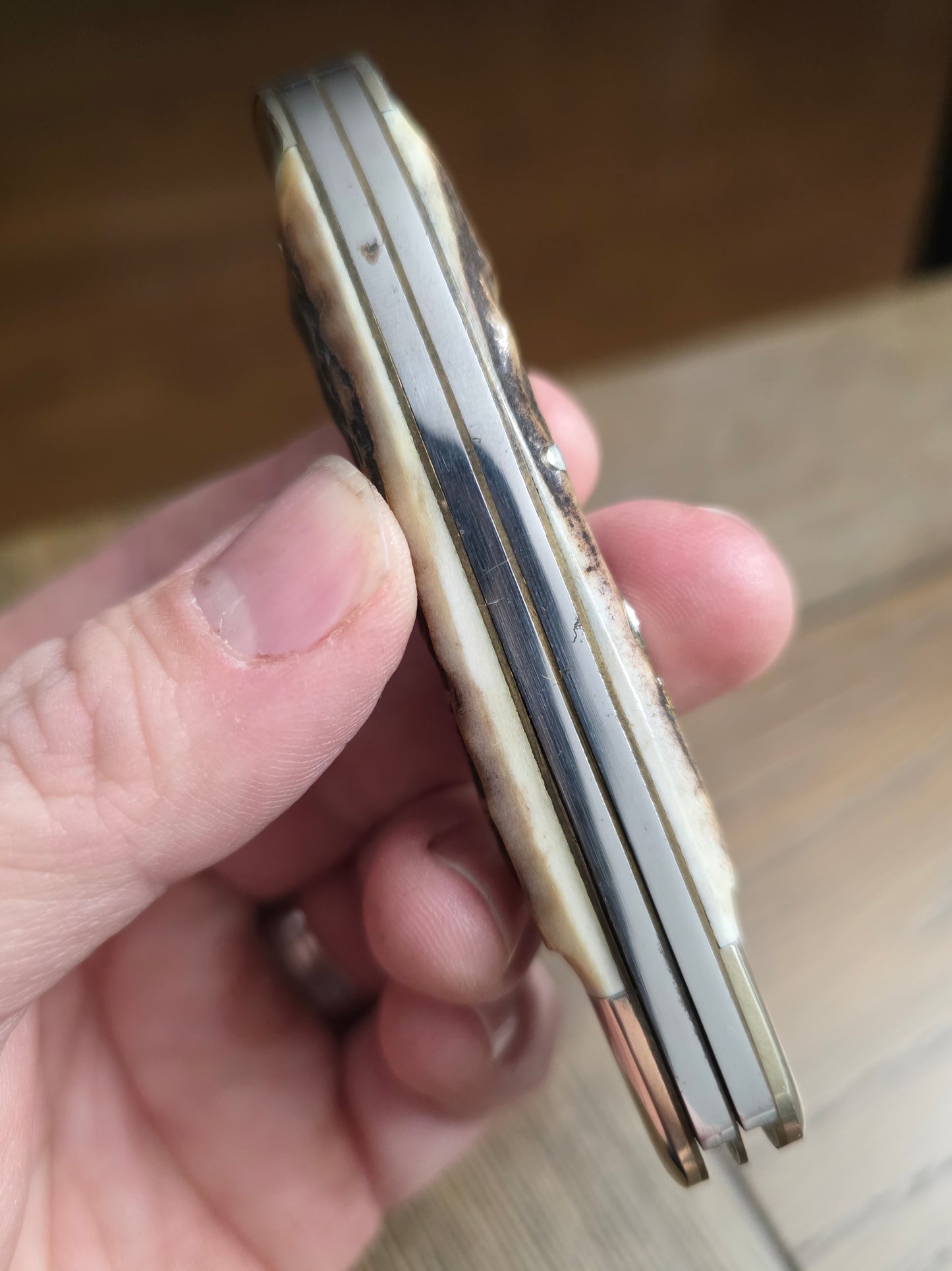 Rigid R18 Stag Trapper 4" German Made