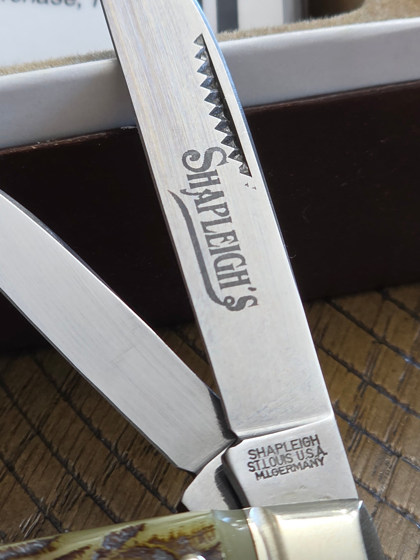 Shapleigh Bone Stag Congress 4 Blade Germany