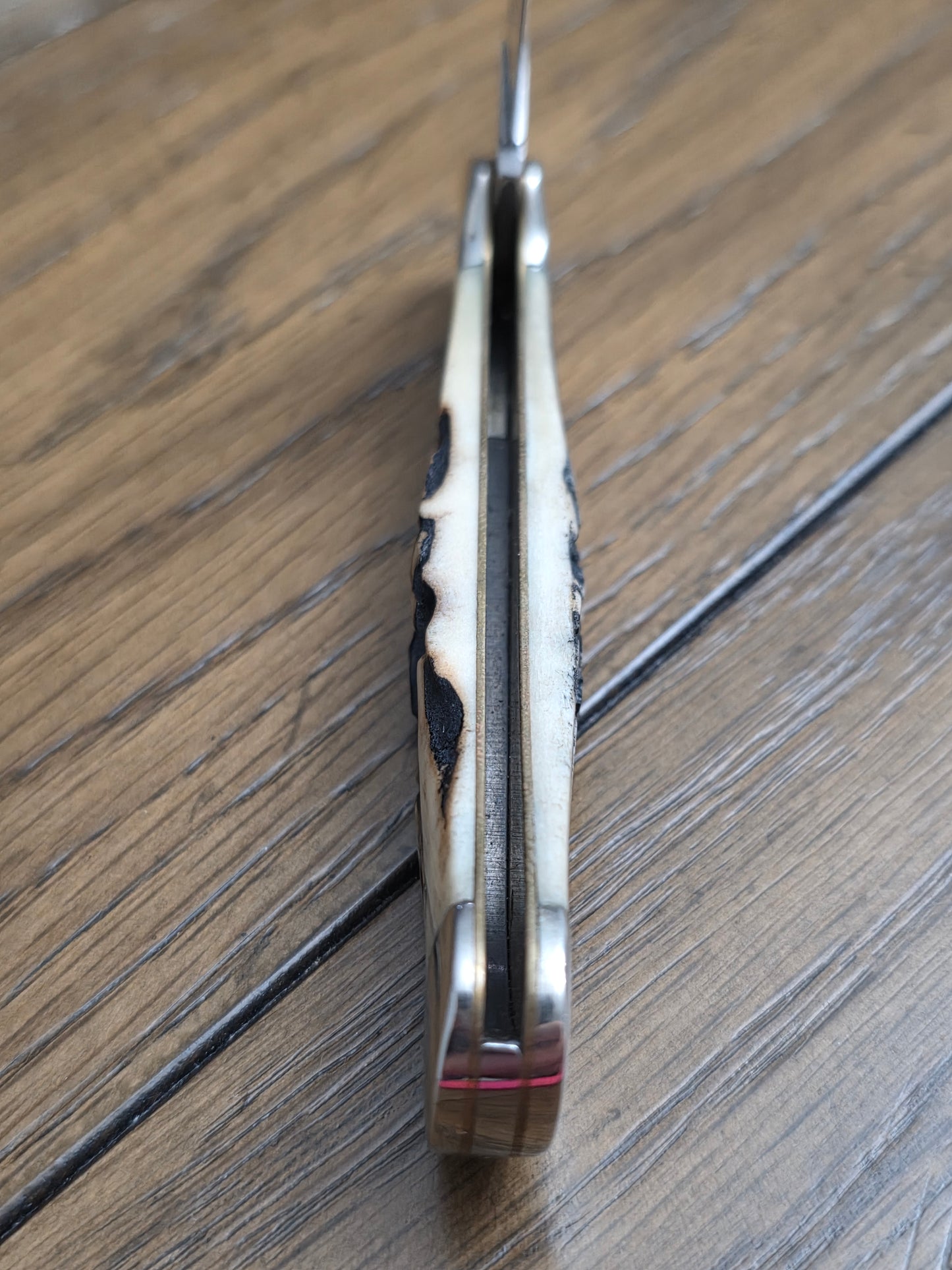 1997 Midnight Stag Copperlock with Floating Dots Unused Condition 51549L