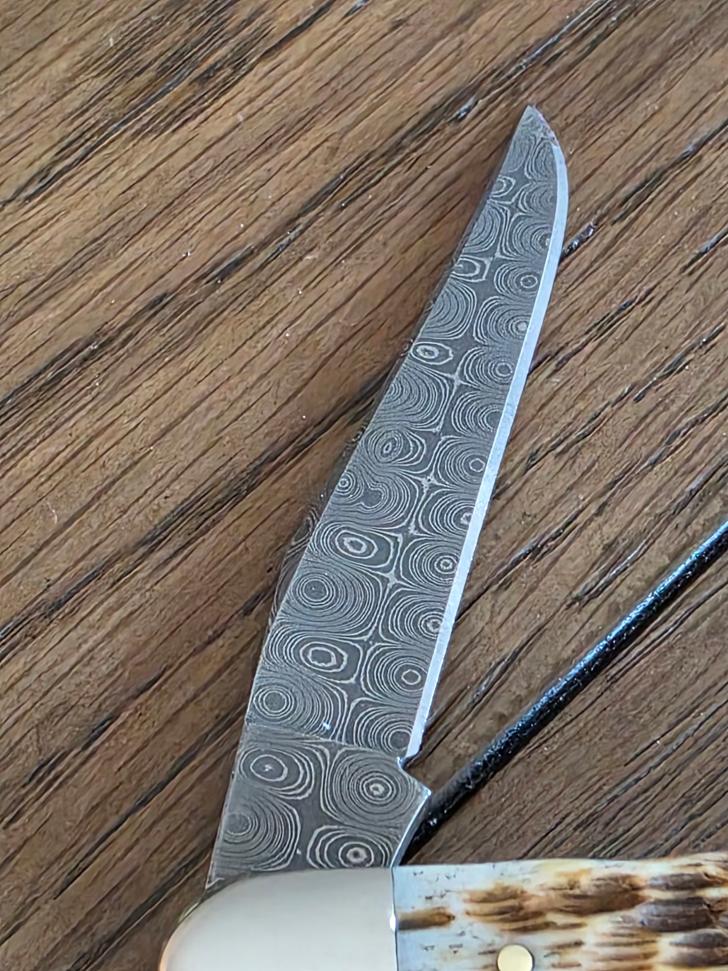 2007 Case XX Rain Drop Damascus Muskrat with Amber Bone Handles No Box